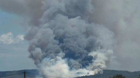 Wildfires Burn in Spain and France After Blistering Heat Wave