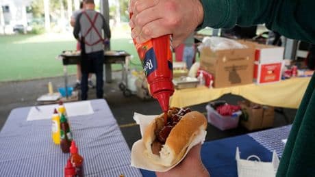 How the democracy sausage, a polling day snack, became Australia's election symbol