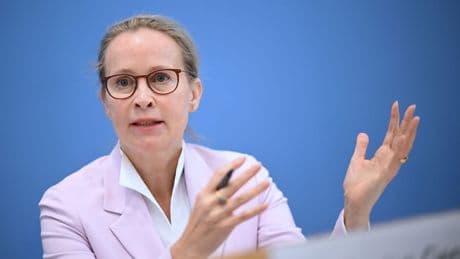 Plagiatsvorwürfe gegen Brosius-Gersdorf: Gutachten entlastet jetzt