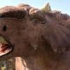 Solving the mystery of a dinosaur mass grave at the 'River of Death'