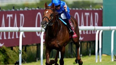 'Supreme traveller' Notable Speech expected to handle big drop in distance in July Cup
