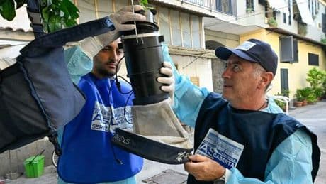 West Nile, che fare in caso di febbre? È sicuro andare in spiaggia? Quali regole per il barbecue? Dieci domande (e risposte)