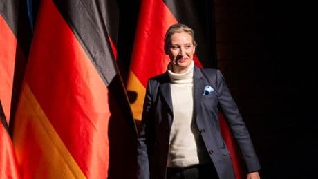 Die Folgen aus dem AfD-Urteil - und was das mit Linken und Grünen zu tun hat