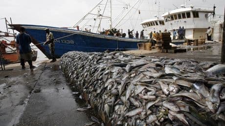 The $15.8 Billion Gap: The Smart Economics Of Ocean Protection