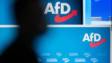 Germany’s domestic spy agency designates AfD as 'right-wing extremist' party