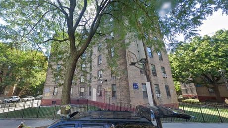 Newborn baby mauled to death by family puppy as she slept in bed beside her mother