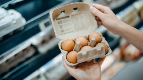 Im Supermarkt immer ungekühlt: Wie man Eier zu Hause lagern sollte