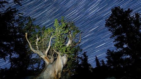 Dazzling Night Sky Photos: ‘Capture The Dark’ Contest Winners Inspire Awe
