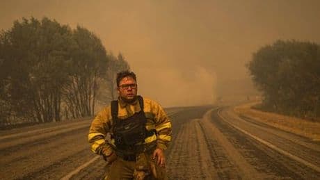 Feuer in Südeuropa: Deutsche Waldbrand-Spezialisten helfen in Spanien