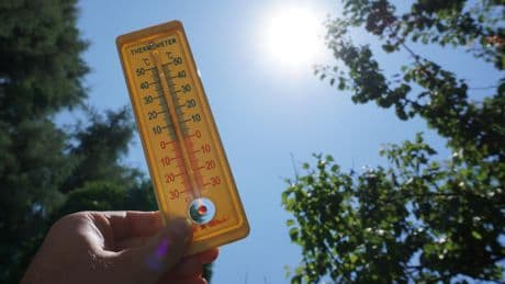 46°C en Espagne et au Portugal, alerte maximale en Italie : la canicule frappe l’Europe de l’Ouest