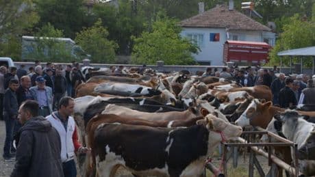 Banaz'da hayvan pazarı yeniden açıldı