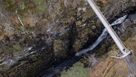 Workers' death-defying abseil to root out foreign invaders