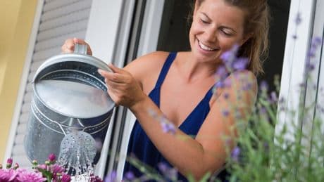Extremwetter: So kommt der Garten über den Sommer