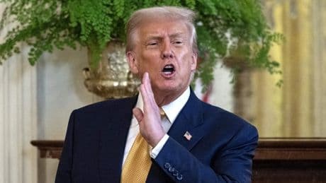 Trump noemt achterban ’idioten’ terwijl MAGA-woede kookpunt bereikt over Epstein-zaak