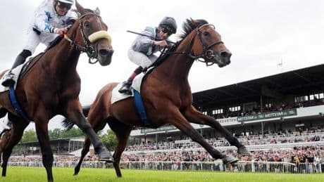 Deutscher Jockey mit Neuanfang: Andrasch Starke von „etwas ganz Besonderem“ in Tokio beflügelt
