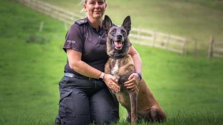 Retired police dogs deserve a pension, charity argues