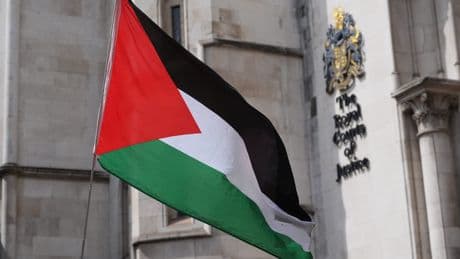 Palestine Action has committed ‘violence’ and ‘significant injury’, No 10 says