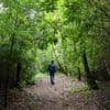 Tout près des plages normandes, cette forêt est un endroit magique au printemps