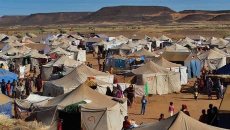 Sudan: Mindestens 1.000 Menschen sterben durch Erdrutsch