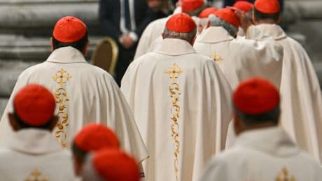 Ces seize cardinaux qui se distinguent pour élire le successeur de François