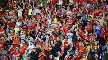 Wales fan falls from upper tier during Belgium match as police rush in