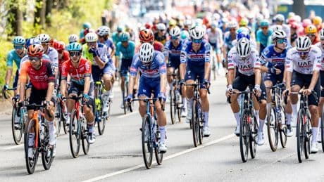 Radsport: Cyclassics: Start in Niedersachsen und Köhlbrandbrücke dabei