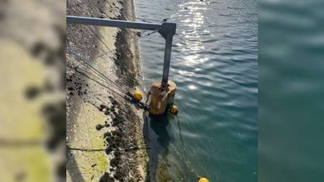 Volx: un chien secouru par les pompiers dans le canal EDF