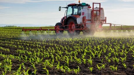 Qu’est-ce que l’acétamipride, ce pesticide décrié dans la proposition de loi «Duplomb» ?