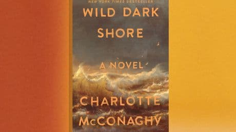 Book Club: ‘Wild Dark Shore,’ by Charlotte McConaghy