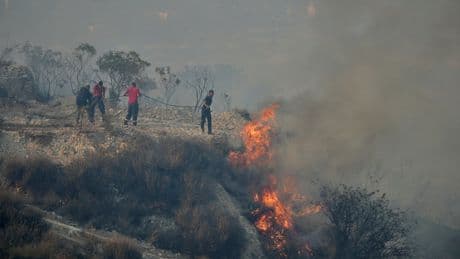 Europe experienced its worst wildfire season on record this year