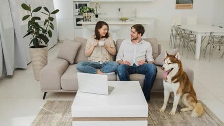 Dogs are treated like ‘child surrogates’ by their owners, new study finds