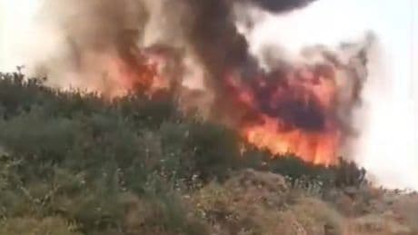 Alerta en Tenerife: un incendio desaloja a medio centenar de vecinos