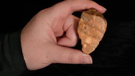 Million-year-old stone tools found on Indonesian island could unravel mystery of ‘hobbit’ humans