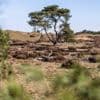 Bezuiniging op nationale parken is ‘bom onder bezoekerscentra’