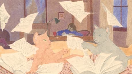 The Mystery of the Cat Mystery