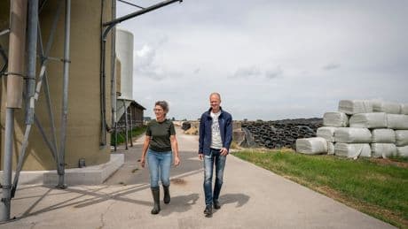 Deze boer wil het milieu helpen, maar de vloer van zijn stal vervangen durft hij nog niet aan