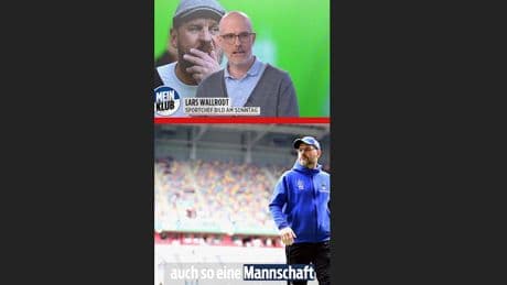 HSV-Insider über Baumgart - „Er schrie die Spieler jeden Tag an“