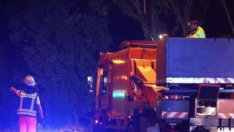 Fotografie: Bilder des Tages