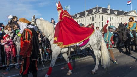 Amerigo 2.0, paard van Sinterklaas, overleden