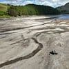 Drought declared in the UK after driest spring for nearly 100 years as water levels in rivers and reservoirs run low