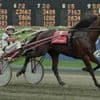 100th running of the Hambletonian marks a century of the biggest event in harness racing