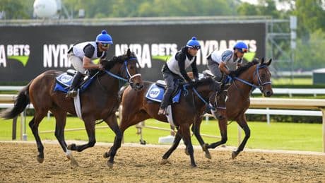 Two long shot picks to win the 2025 Belmont Stakes
