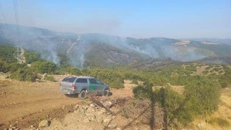 Balıkesir'in ormanları 2 gündür yanıyor