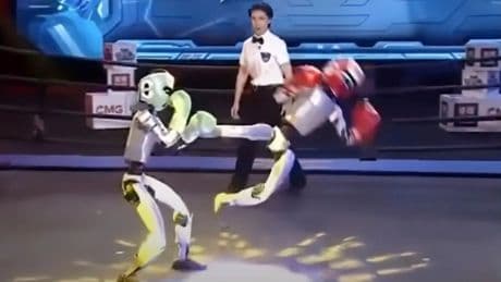 Dünyada ilk: Çin'de insansı robotlar boks yaptı