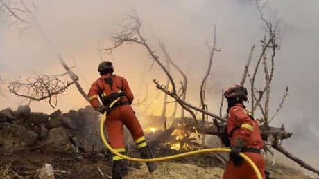 Incendies : de l’Italie aux Balkans, des feux brûlent l’Europe, traversée par une vague de chaleur « étonnamment puissante »