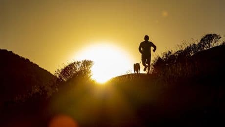 Letters to the Editor: Should the response to heat waves be adaptation or sweeping changes?