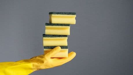Gardeners urged to stop throwing away washing up sponges