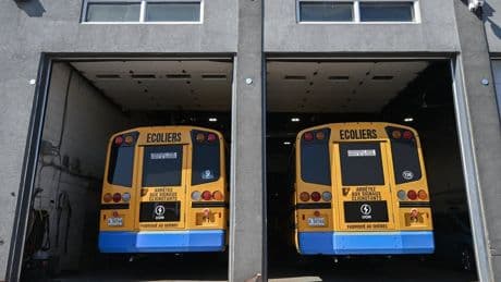 Many school bus routes still cancelled in Quebec because of Lion inspections