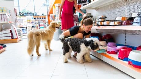Why Pet Startups Struggle In A Market Dominated By Mars And Chewy