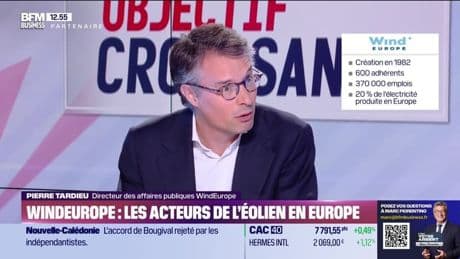 Pierre Tardieu (WindEurope) : WindEurope, les acteurs de l'éolien en Europe - 13/08